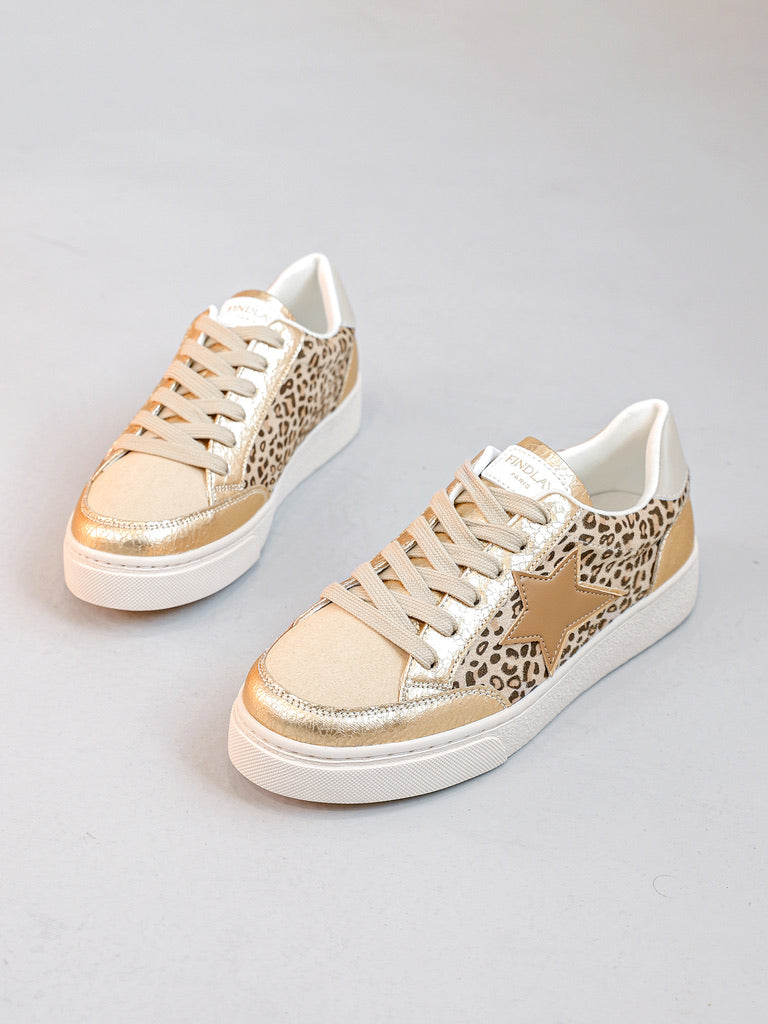 Baskets Bulle