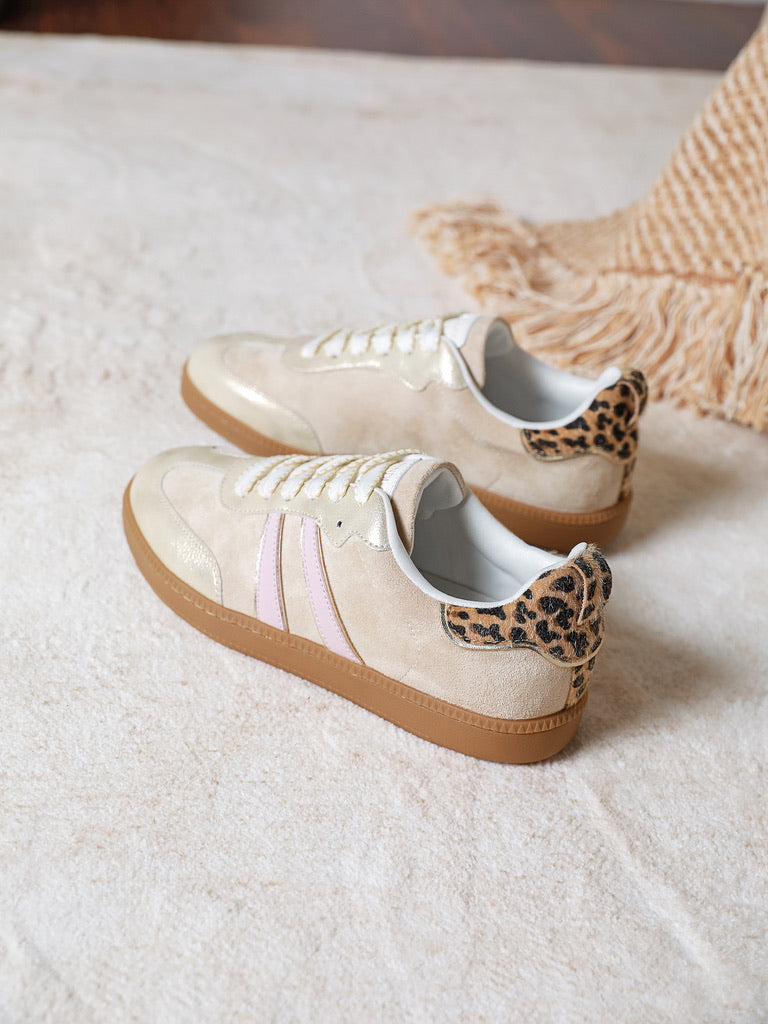 Baskets Charlotte
